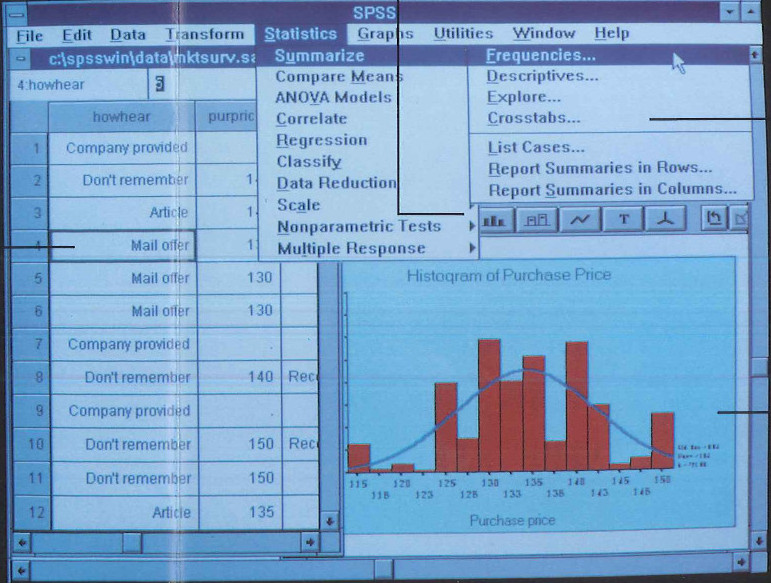 SPSS in action