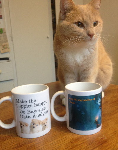 Stina the Cat with some Bayesian Cups